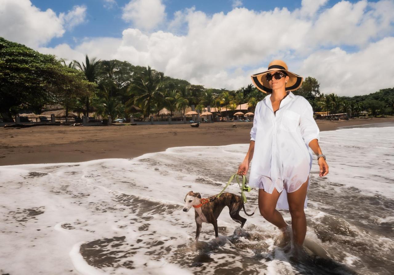 Bahia Del Sol Beach Front Boutique Hotel Potrero  Eksteriør bilde